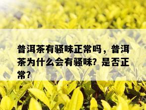 普洱茶有骚味正常吗，普洱茶为什么会有骚味？是否正常？