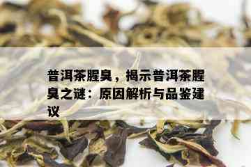 普洱茶腥臭，揭示普洱茶腥臭之谜：原因解析与品鉴建议