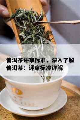 普洱茶评审标准，深入了解普洱茶：评审标准详解