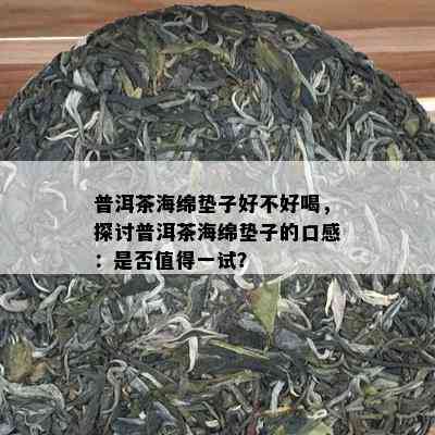 普洱茶海绵垫子好不好喝，探讨普洱茶海绵垫子的口感：是否值得一试？