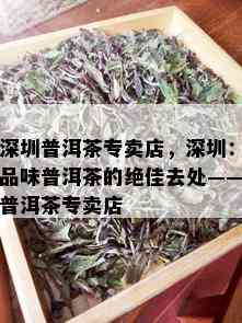 深圳普洱茶专卖店，深圳：品味普洱茶的绝佳去处——普洱茶专卖店