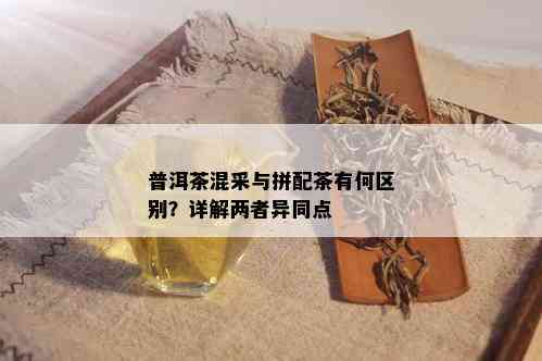 普洱茶混采与拼配茶有何区别？详解两者异同点