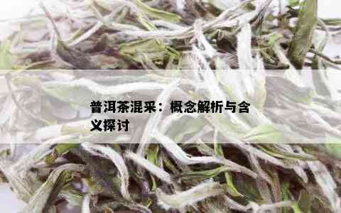 普洱茶混采：概念解析与含义探讨