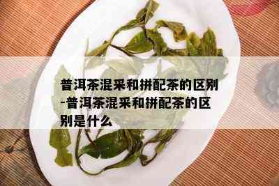 普洱茶混采和拼配茶的区别-普洱茶混采和拼配茶的区别是什么