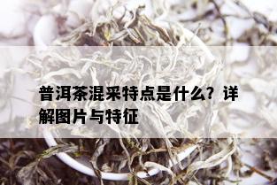 普洱茶混采特点是什么？详解图片与特征