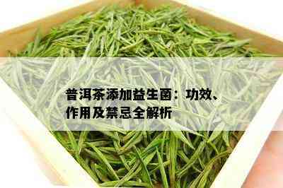 普洱茶添加益生菌：功效、作用及禁忌全解析