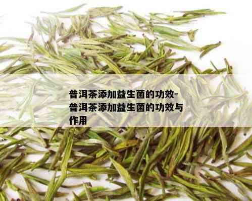 普洱茶添加益生菌的功效-普洱茶添加益生菌的功效与作用