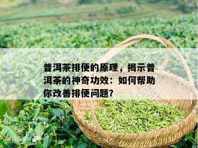 普洱茶排便的原理，揭示普洱茶的神奇功效：如何帮助你改善排便问题？