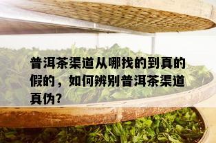 普洱茶渠道从哪找的到真的假的，如何辨别普洱茶渠道真伪？