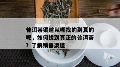 普洱茶渠道从哪找的到真的呢，如何找到真正的普洱茶？了解销售渠道