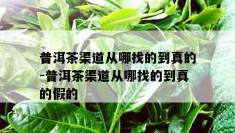 普洱茶渠道从哪找的到真的-普洱茶渠道从哪找的到真的假的