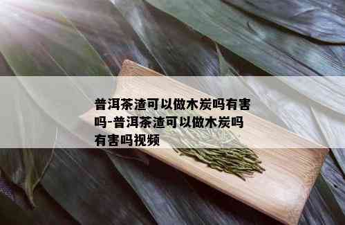 普洱茶渣可以做木炭吗有害吗-普洱茶渣可以做木炭吗有害吗视频