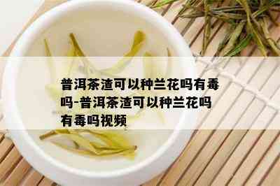 普洱茶渣可以种兰花吗有吗-普洱茶渣可以种兰花吗有吗视频