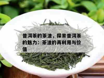 普洱茶的茶渣，探索普洱茶的魅力：茶渣的再利用与价值