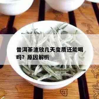 普洱茶渣放几天变质还能喝吗？原因解析