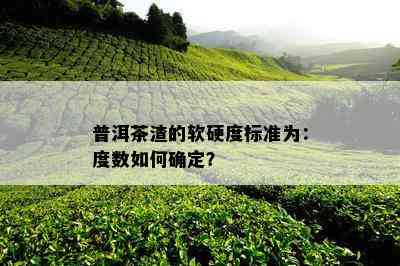 普洱茶渣的软硬度标准为：度数如何确定？