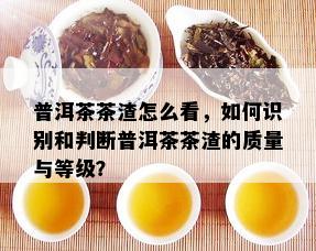 普洱茶茶渣怎么看，如何识别和判断普洱茶茶渣的质量与等级？