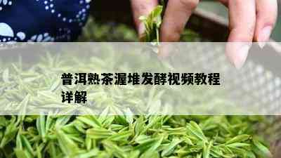 普洱熟茶渥堆发酵视频教程详解