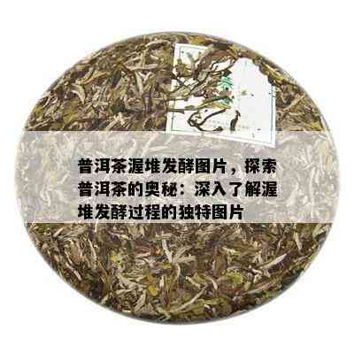 普洱茶渥堆发酵图片，探索普洱茶的奥秘：深入了解渥堆发酵过程的独特图片