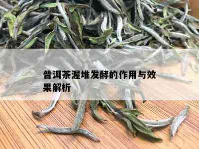 普洱茶渥堆发酵的作用与效果解析