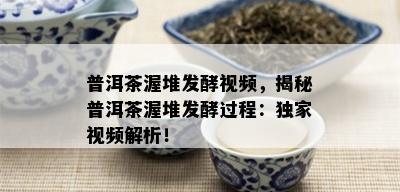 普洱茶渥堆发酵视频，揭秘普洱茶渥堆发酵过程：独家视频解析！