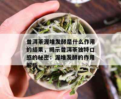 普洱茶渥堆发酵是什么作用的结果，揭示普洱茶独特口感的秘密：渥堆发酵的作用解析