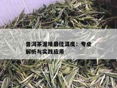 普洱茶渥堆更佳温度：专业解析与实践应用