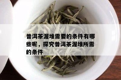 普洱茶渥堆需要的条件有哪些呢，探究普洱茶渥堆所需的条件