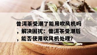 普洱茶受潮了能用吹风机吗，解决困扰：普洱茶受潮后，能否使用吹风机处理？