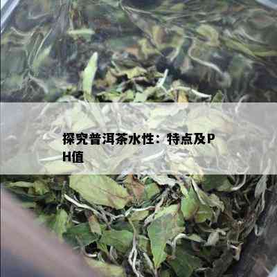 探究普洱茶水性：特点及PH值