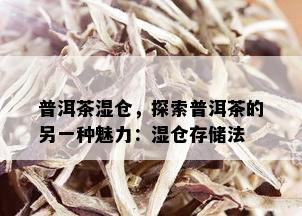 普洱茶湿仓，探索普洱茶的另一种魅力：湿仓存储法