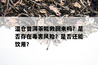 湿仓普洱茶能救回来吗？是否存在害风险？是否还能饮用？