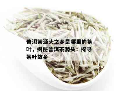 普洱茶源头之乡是哪里的茶叶，揭秘普洱茶源头：探寻茶叶故乡