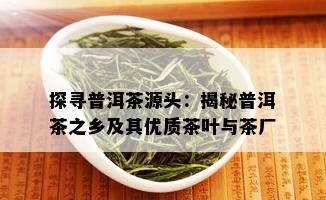 探寻普洱茶源头：揭秘普洱茶之乡及其优质茶叶与茶厂