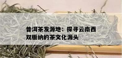 普洱茶发源地：探寻云南西双版纳的茶文化源头