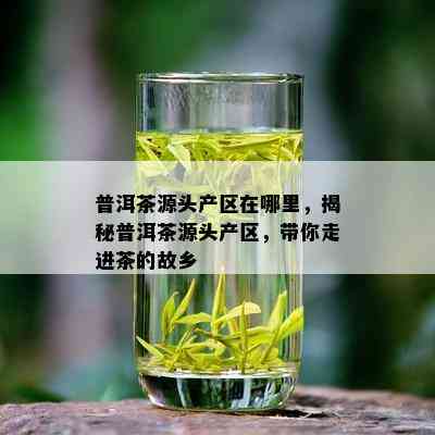 普洱茶源头产区在哪里，揭秘普洱茶源头产区，带你走进茶的故乡