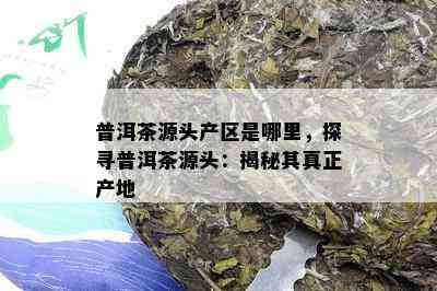 普洱茶源头产区是哪里，探寻普洱茶源头：揭秘其真正产地