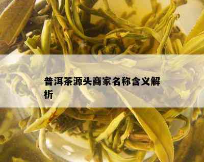 普洱茶源头商家名称含义解析