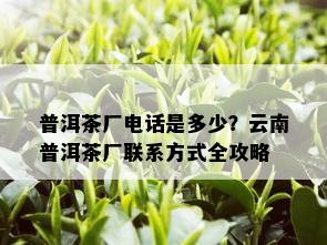 普洱茶厂电话是多少？云南普洱茶厂联系方式全攻略