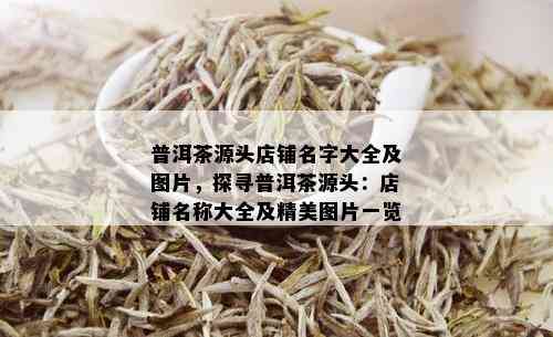 普洱茶源头店铺名字大全及图片，探寻普洱茶源头：店铺名称大全及精美图片一览