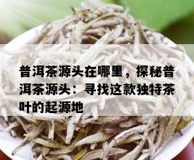 普洱茶源头在哪里，探秘普洱茶源头：寻找这款独特茶叶的起源地