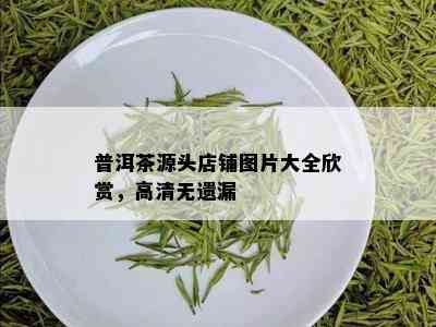 普洱茶源头店铺图片大全欣赏，高清无遗漏