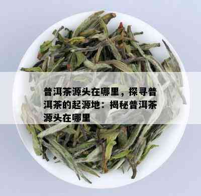 普洱茶源头在哪里，探寻普洱茶的起源地：揭秘普洱茶源头在哪里