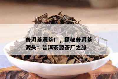 普洱茶源茶厂，探秘普洱茶源头：普洱茶源茶厂之旅