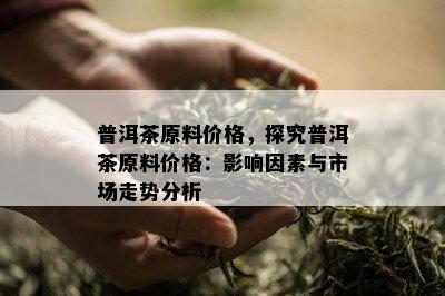 普洱茶原料价格，探究普洱茶原料价格：影响因素与市场走势分析