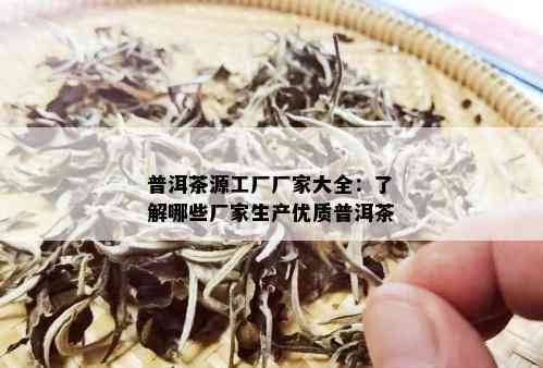 普洱茶源工厂厂家大全：了解哪些厂家生产优质普洱茶