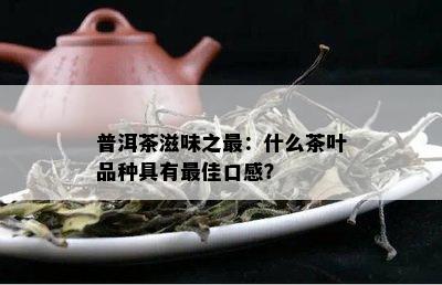 普洱茶滋味之最：什么茶叶品种具有更佳口感？