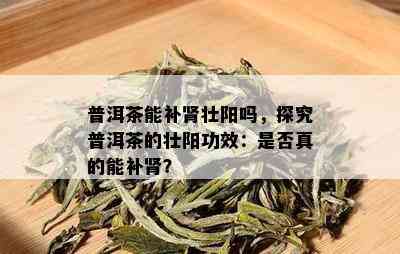 普洱茶能补肾壮阳吗，探究普洱茶的壮阳功效：是否真的能补肾？