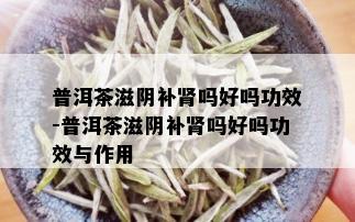 普洱茶滋阴补肾吗好吗功效-普洱茶滋阴补肾吗好吗功效与作用