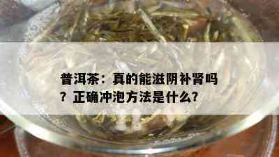 普洱茶：真的能滋阴补肾吗？正确冲泡方法是什么？